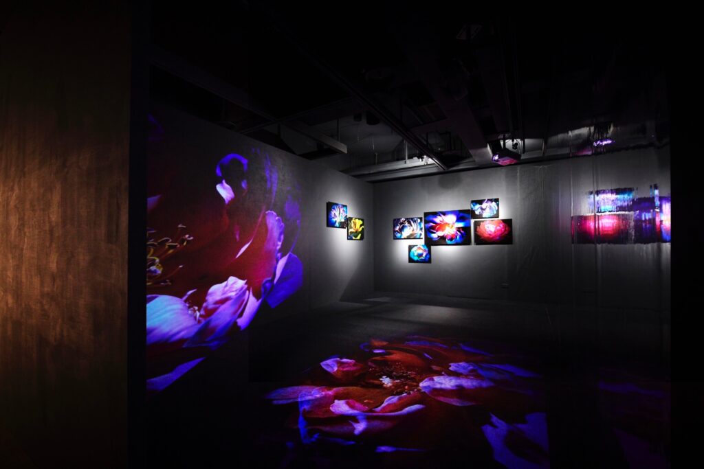 S__11821372