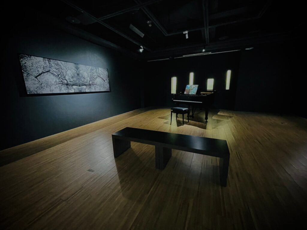 S__11821375