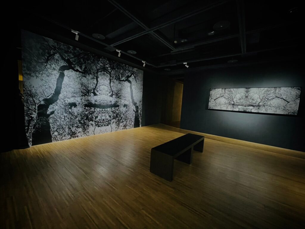S__11821380
