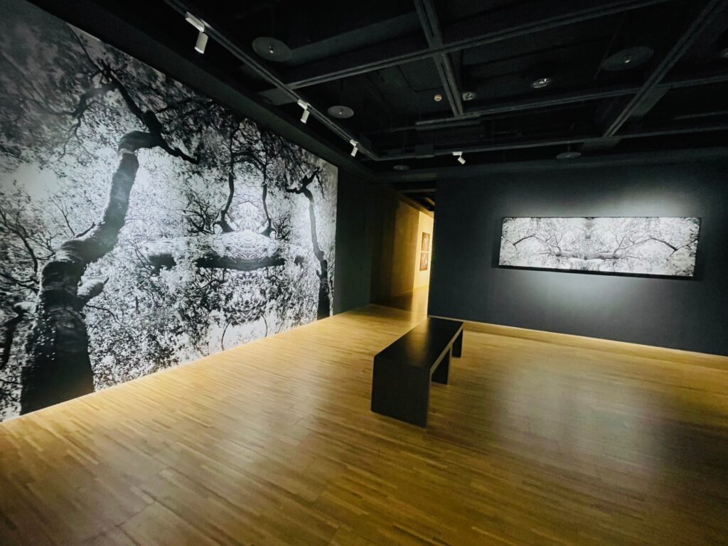 S__11943979